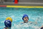 WWPolo vs CC  Wheaton College Women’s Water Polo compete in their sports inaugural match vs Connecticut College. - Photo By: KEITH NORDSTROM : Wheaton, water polo, inaugural